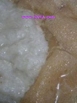 ���p�~�������