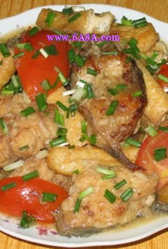 �����F�T�~������