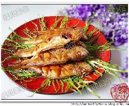 �����S���~������