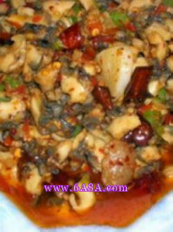 �r�����ݵ�����