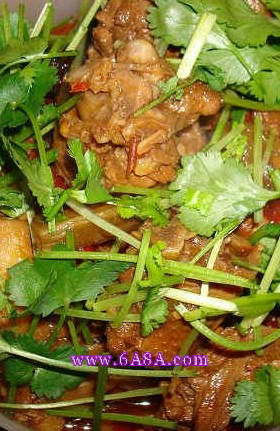 �ؑcơ����������