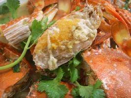 �t����з������