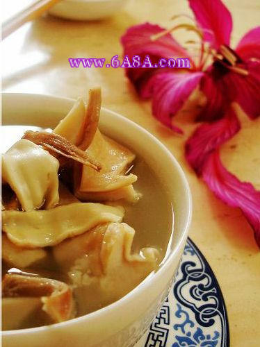 ���z�i���Bθ��������