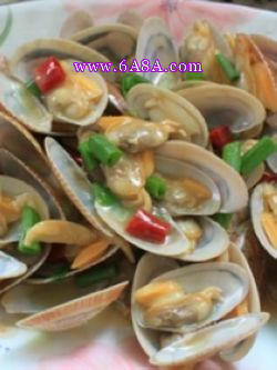 ����͘������