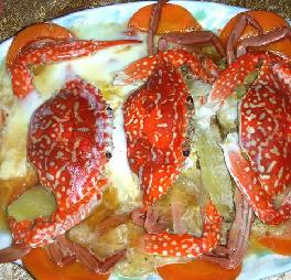 �S�Ɵhз������