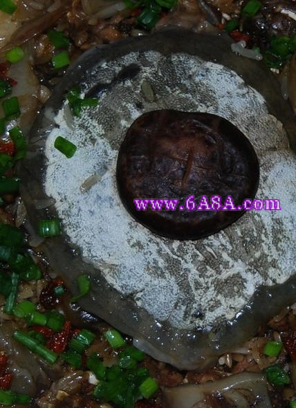 �ײ���Ŵ������