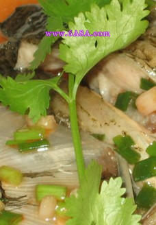 �������~�^������