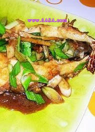 �t�����~�K������