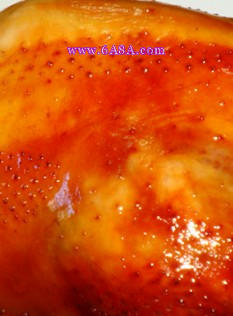 ���u������