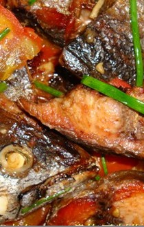 ���ѠF���~������