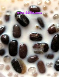 �t������¶������