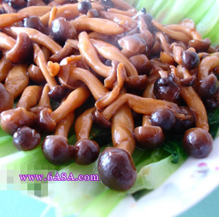 зζ�����Ͳ˵�����