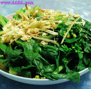 ���Ʋ��ĵ�����