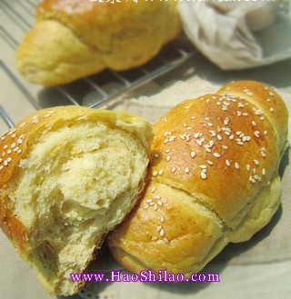 �Ϲ�֥��͵�����