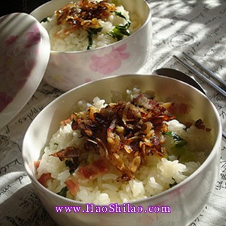 �[�Ͳ������