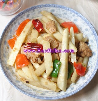 ����������Ƭ������