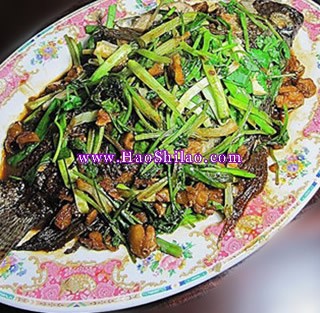 ɳ����h���a�~������