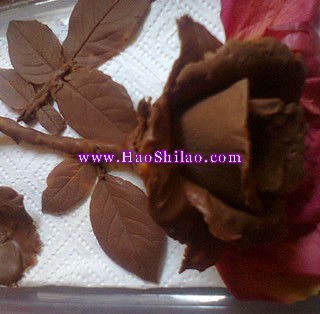 �ɿ���õ�������