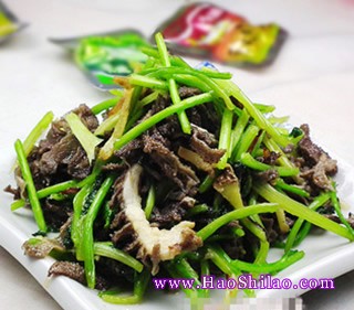 ܾ�����~������