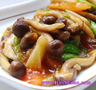 ��֭зζ��������