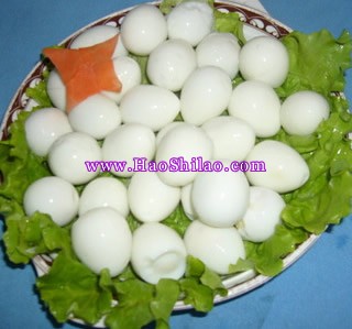 ���m�g����������