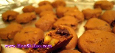 �ɿ����������������