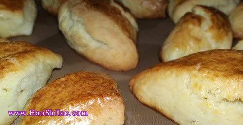 ԭζ˾��(SCONE)������