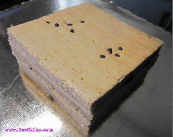 �ɿ����{ݮ���������