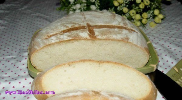 �l�����������