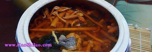 ���셢횟����u������