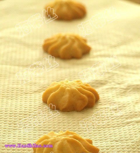 ţ�����������