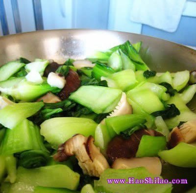 �Ͳ˰׻���������