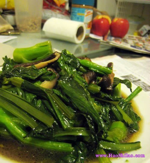 �㹽��̦������