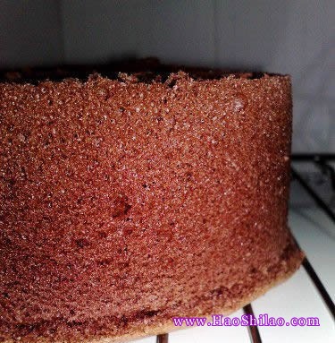 �ɿ����L���������