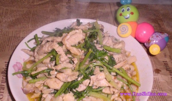 ��z����˵�����