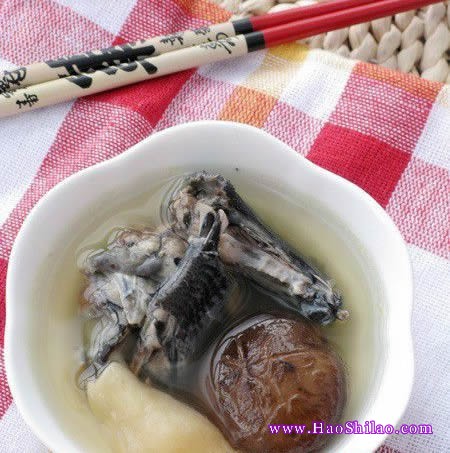 ���z���u��������