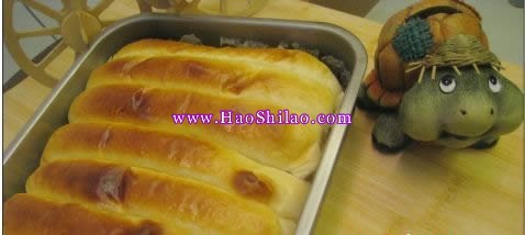 �r�����Ű�������