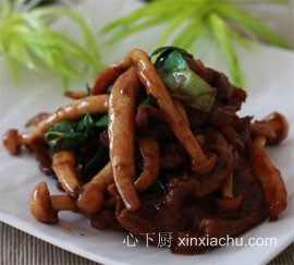 ���⺣�r������ţ������