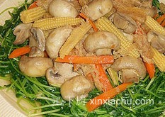 �r�ߠZ�Č�������