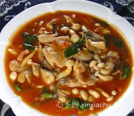 ����Ģ���~Ƭ������