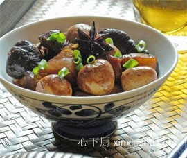 �t���g����������