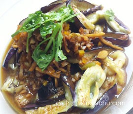 �����ӵ�����