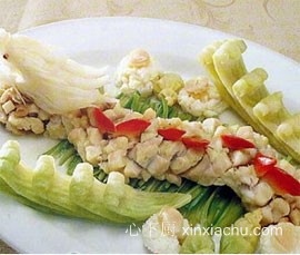 �d�P�����򳱵�����