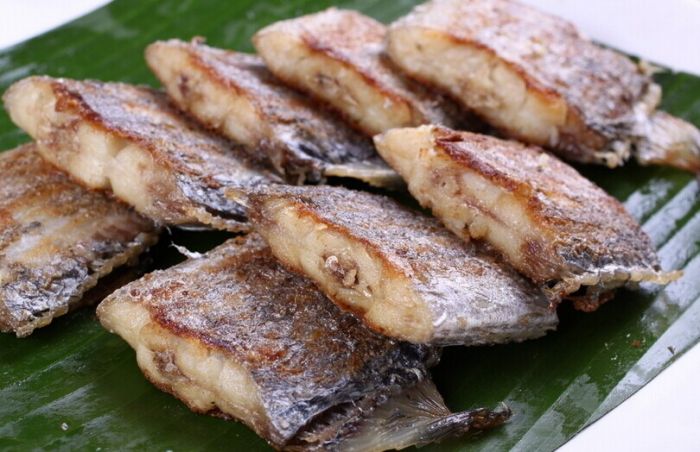 ���~�ɵ�����