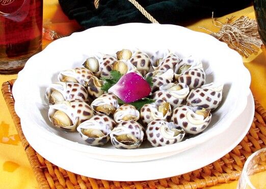 ���ƻ��ݵ�����