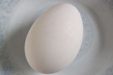 �Z��������