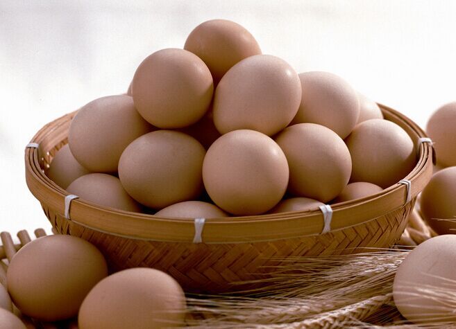 �u�ӵ�����