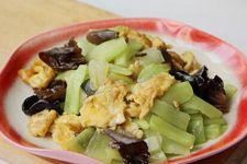 �n�S���u��������