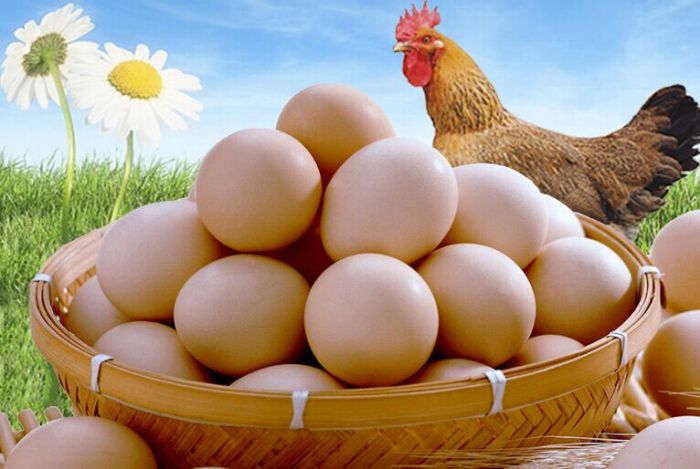 �u��������