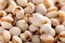 ޲���������